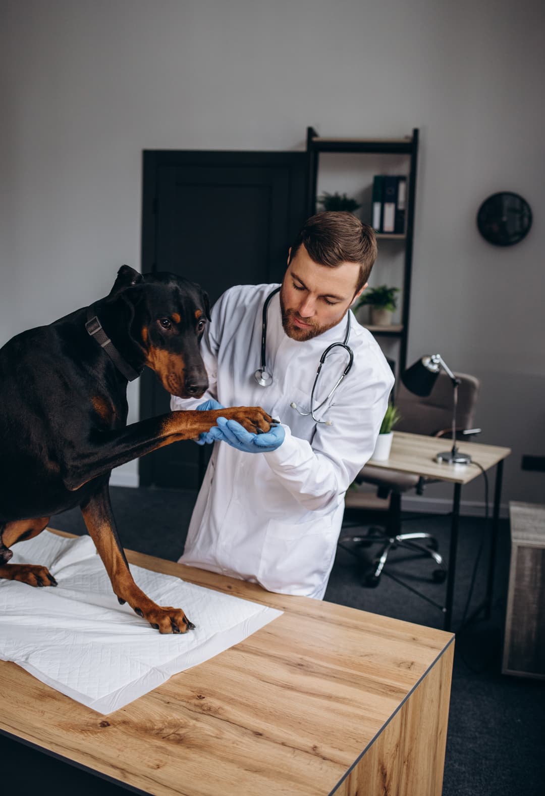 Veterinary professionals using FURFIELD HMS