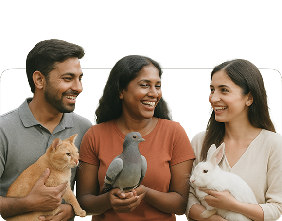 Integrated pet care ecosystem