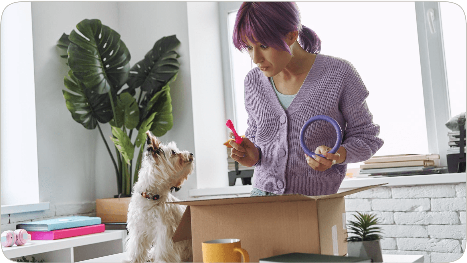 Shop for Pet Essentials in the Marketplace illustration
