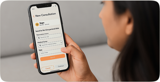 Book a Consultation illustration